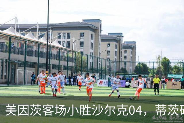 美因茨客场小胜沙尔克04，蒂茨破门卡里乌斯屡显神勇
